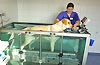 Bayern Oberammergau Hundephysiotherapiewochen