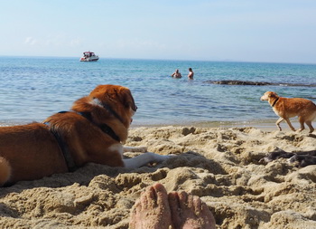 relaxen