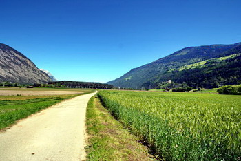 sommer